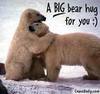 Bear hug