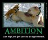 ambition