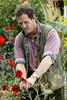 A Picture of Monty Don Pruning