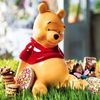 Picnic with Pooh...
