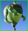 A Hot Air Frog Ballon Ride!