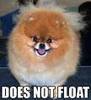 Does Not Float