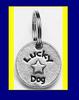 LUCKY DOG tag / collar charm