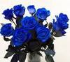 Rare Blue Rose Bouquet