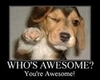 You are awesome!!