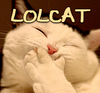 lolcat