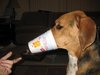 I   SHARE