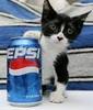 Pepsi for you! Enjoy