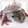 Frog Prince