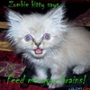 Zombie Kitty is hungry...