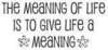 Meaning of Life