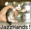 Jazz Hands Kitteh