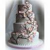 Cherry Blossom Cake