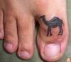 CAMEL TOE