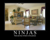 Can you find the Ninjas?