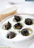 Escargot