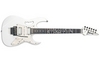 Ibanez Jem Guitar