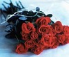 Boquet of Red Roses