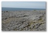 Burren Coastline trip