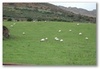 Comeragh Mountains