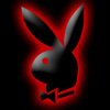 Playboy (red)