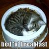 Bed 'n Breakfast