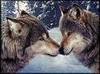 Wolf kisses