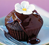 chocolate fudge cupcake