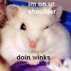 doing winks on ur shoulder