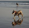 walk on the beach