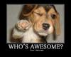 who's awesome? you're awesome