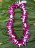 A Hawaiian Lei