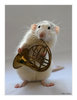 A Cute Rat Playing a French Horn