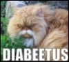 diabeetus