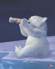 A Coke and a Polar Bear