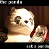 Ask a Panda