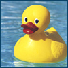 Rubber Ducky 