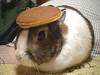 Bunny-head-shpd pancake griddle