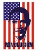REVOLUTION: Vote For Obama!