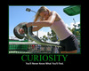 Curiosity: It's Wonderful