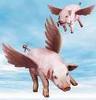 maybe, when pigs fly...