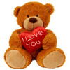 I Love U Teddy