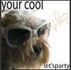 Your Cool, Let's Party