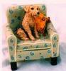 Chair for any pet