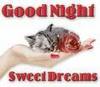 good night, sweet dreamz