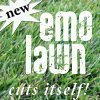 Emo Lawn