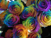 Rainbow Rose Bouqet