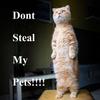 Don't steal my pets