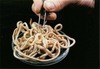 Parasitic Roundworms