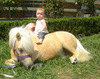 Pony ride